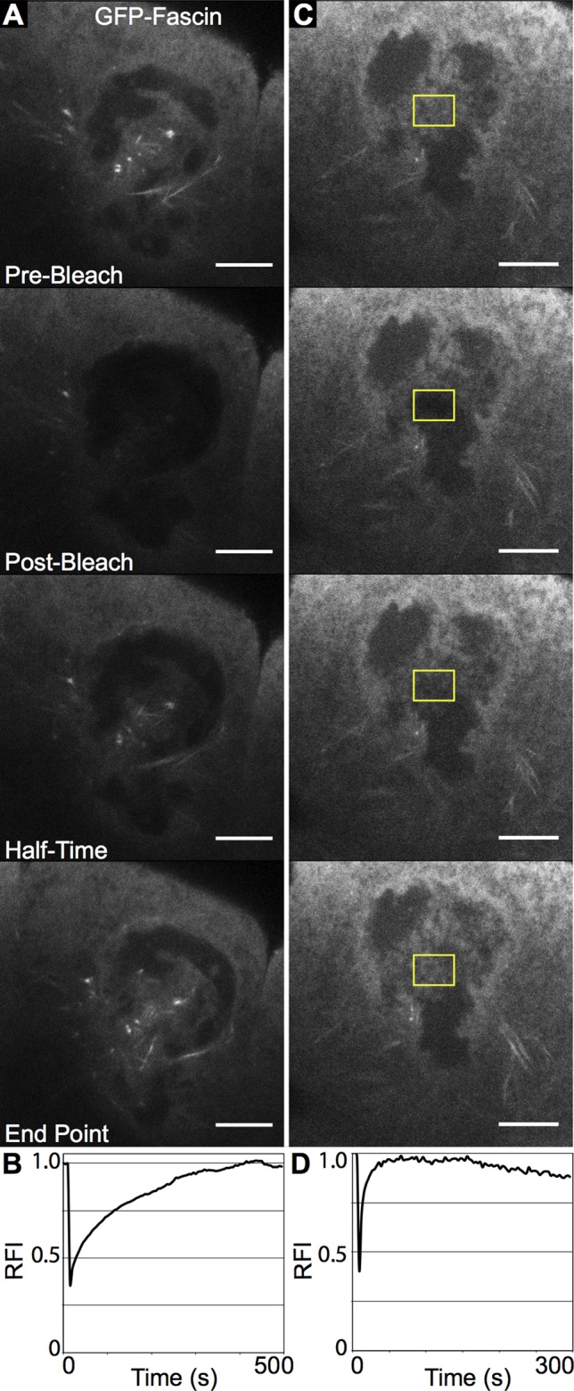 FIGURE 2: