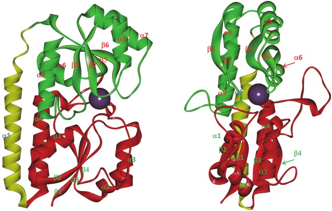 Fig 1