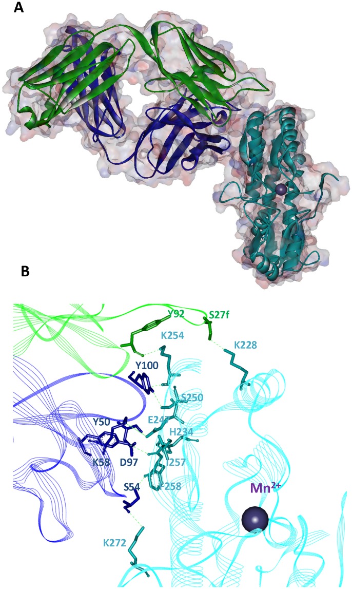 Fig 5