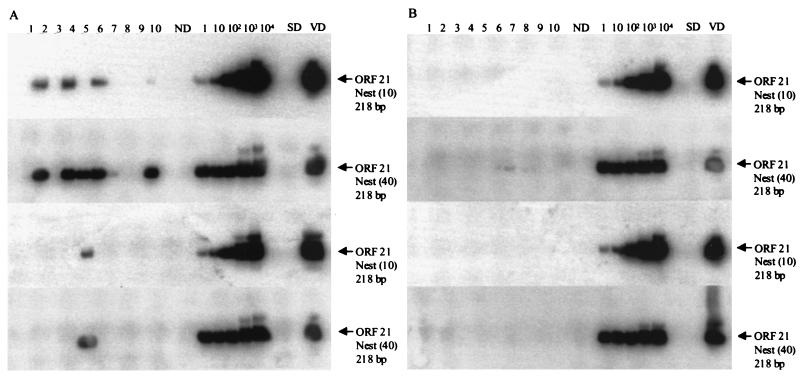 FIG. 4