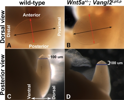 Figure 3.