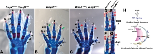 Figure 6.