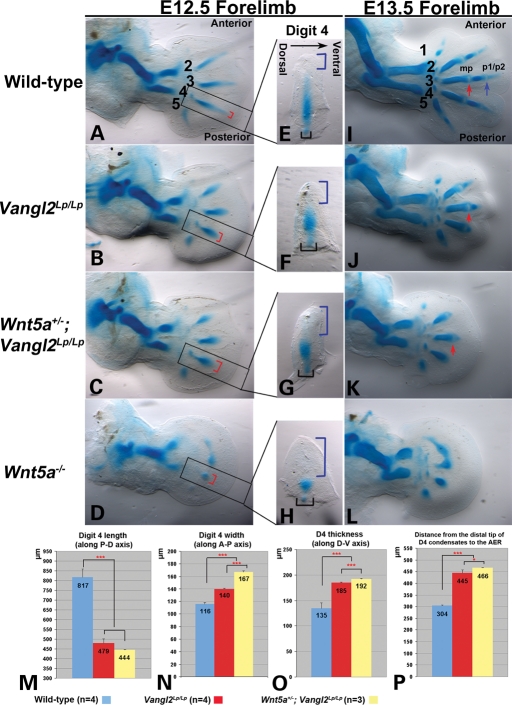 Figure 2.