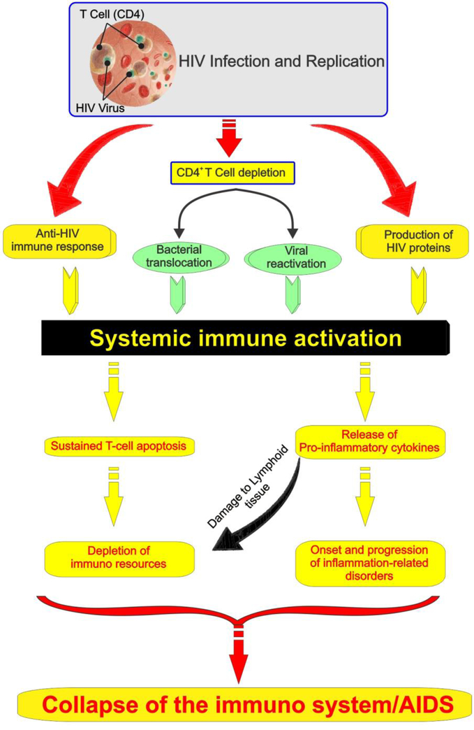 Figure 1: