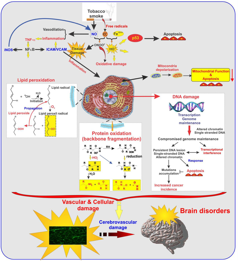 Figure 2: