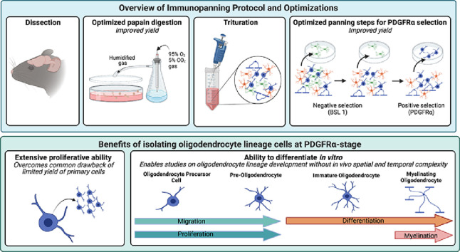 Image, graphical abstract