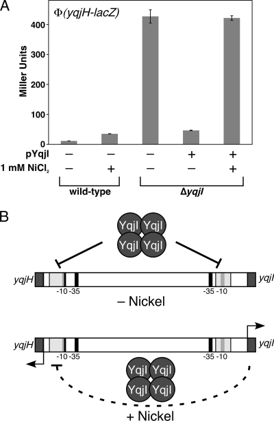 FIG. 8.