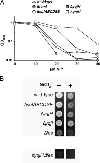 FIG. 9.