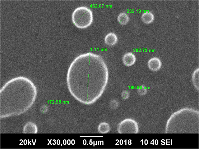 FIGURE 3