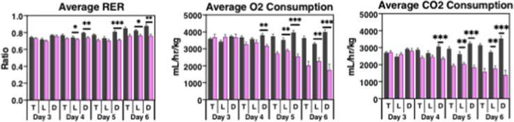 Supplemental Figure 2