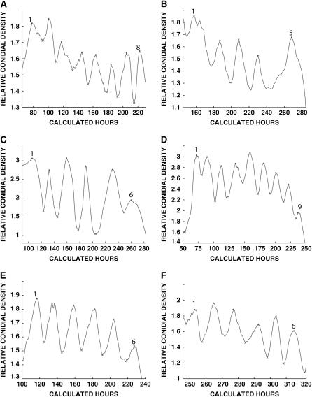 Figure 1.—