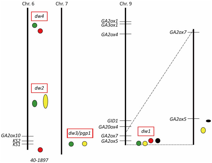 Figure 7