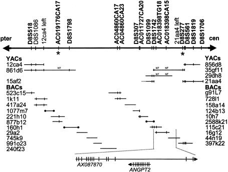 Figure  1