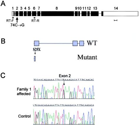 Figure  3