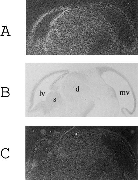 Figure  6