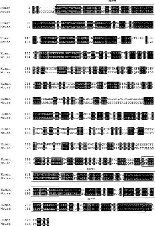 Figure  5