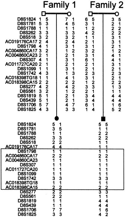 Figure  2