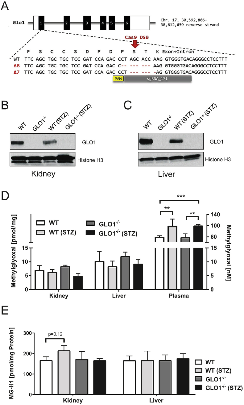 Figure 1