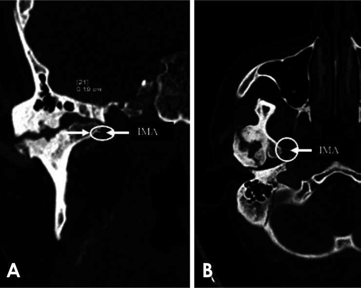 Fig. 5