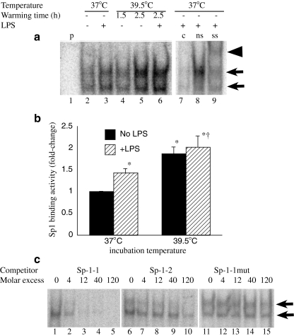 Fig. 4