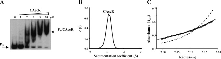 FIGURE 6.