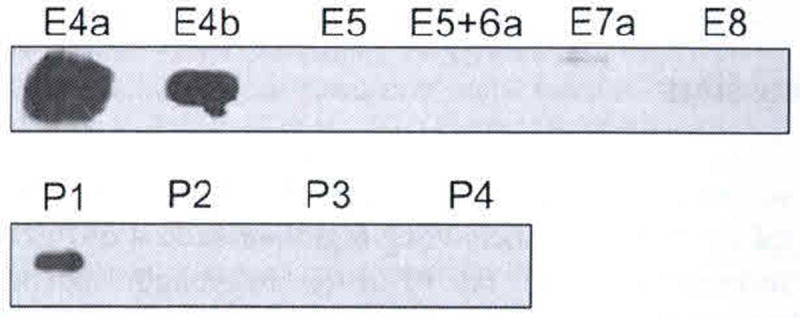 Fig. 102.3