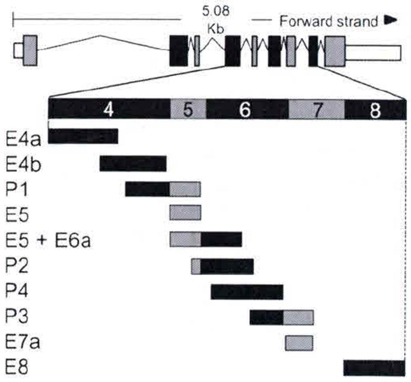 Fig. 102.2