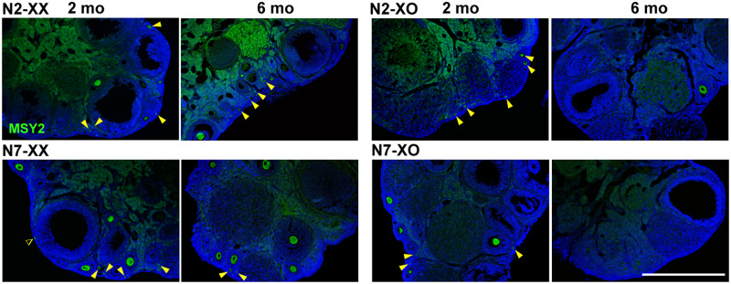 Figure 3.