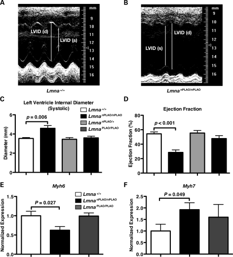 Figure 6.