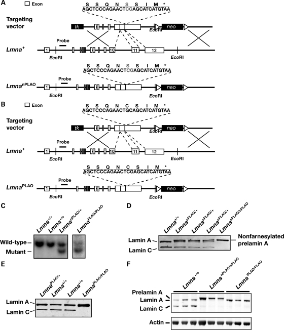 Figure 1.