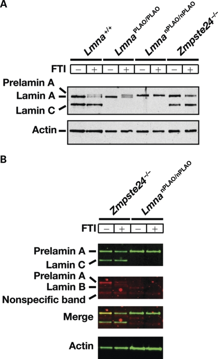 Figure 2.