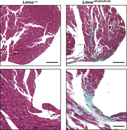 Figure 7.