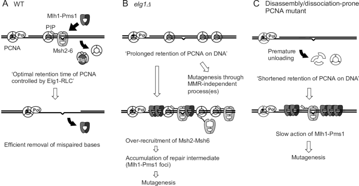 Figure 7.