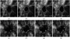 Fig. 9