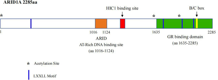 Figure 1