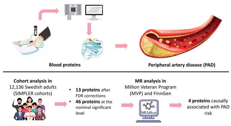 Graphical abstract