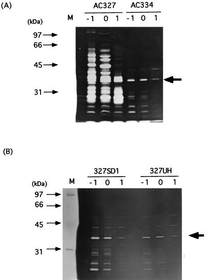 FIG. 7