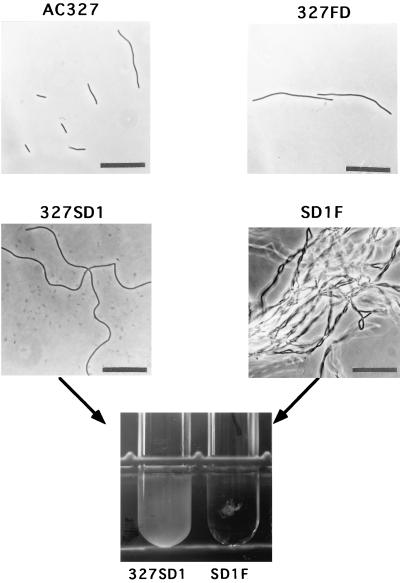 FIG. 6