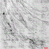 Figure 16.