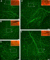 Figure 14.