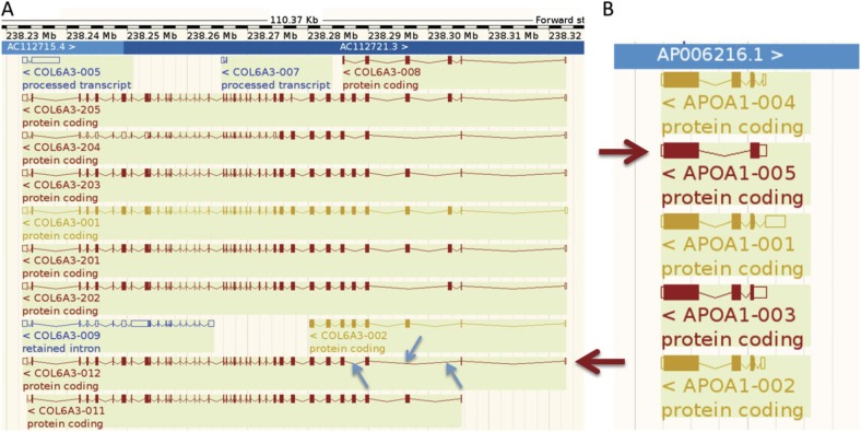 FIG. 1.