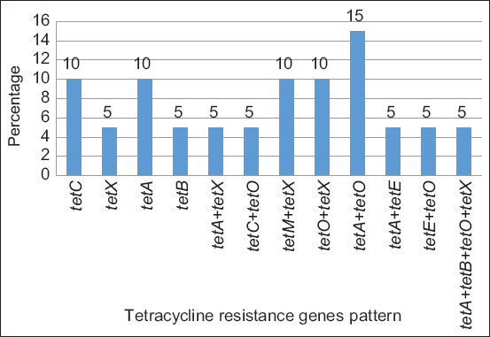 Figure-3