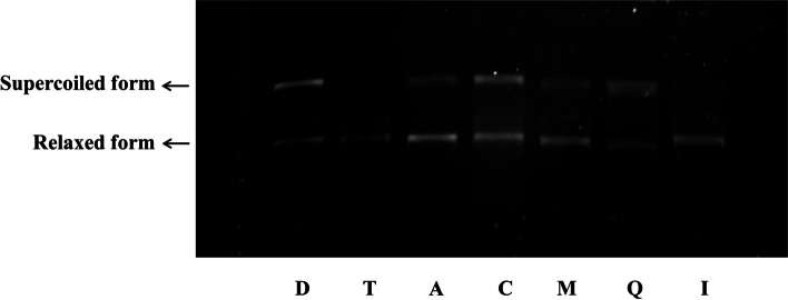 Fig. 11
