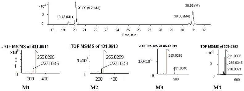 Figure 5