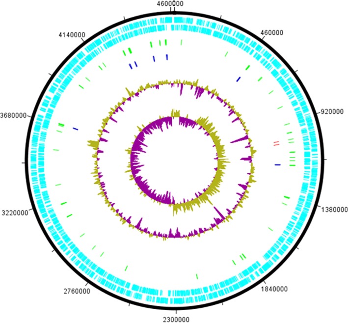 Fig. 4