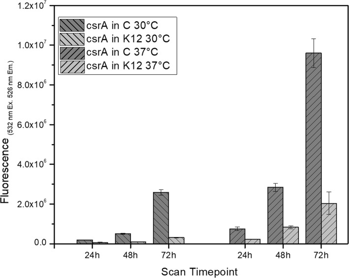 Fig. 10