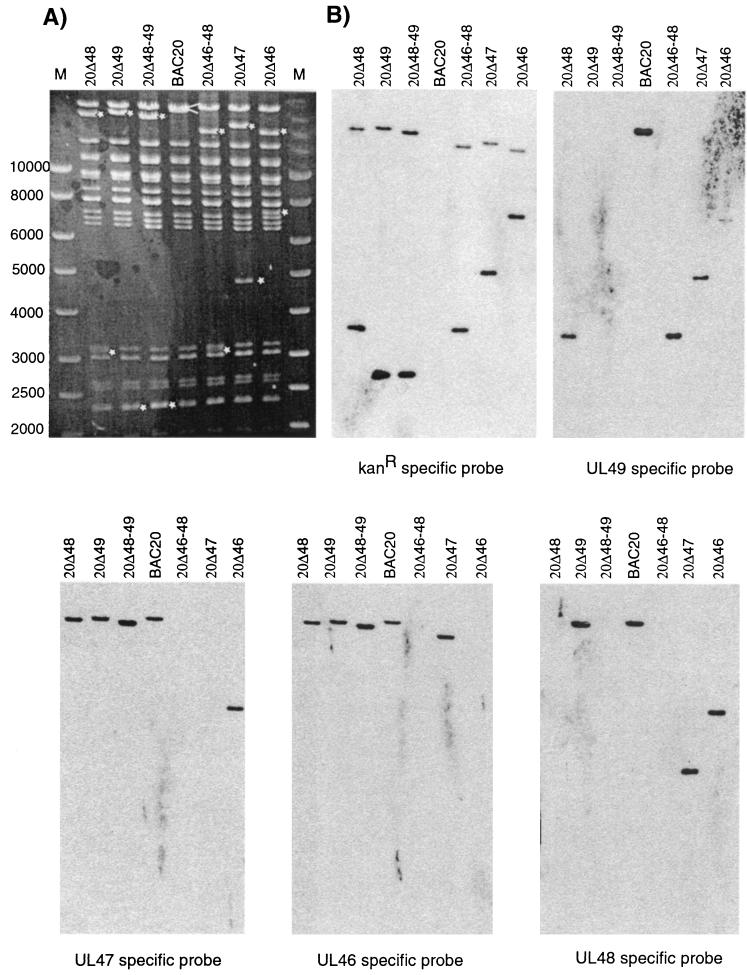 FIG. 2.