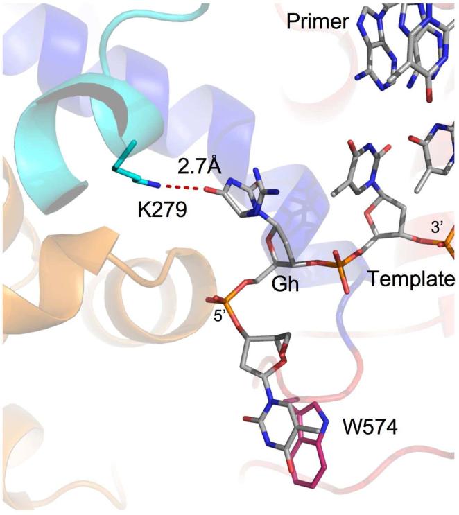 Figure 5