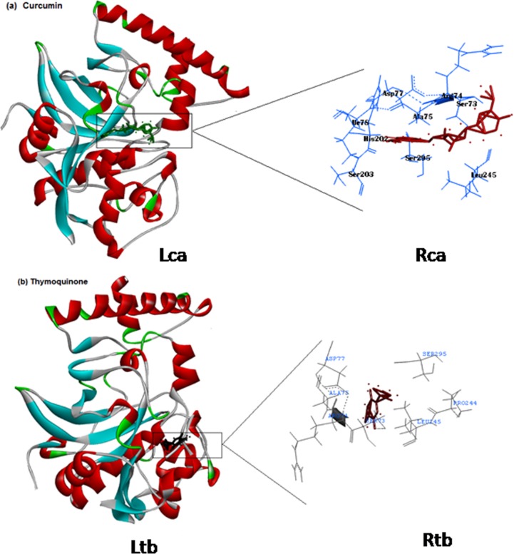 Fig 10