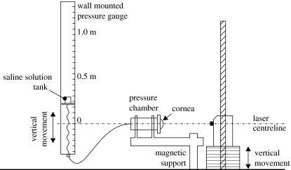 Figure 8